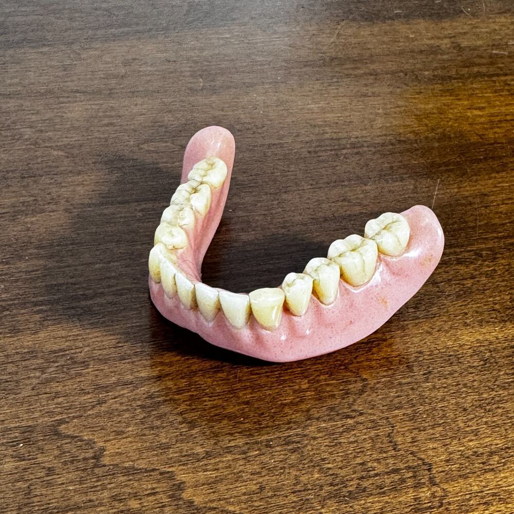 Vintage False Teeth Dentures Halloween Prop Lowers Medical Oddities